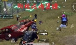 t1训练赛最新爆料,神秘爆料揭示赛场风云