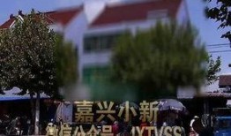 嘉兴平湖爆料案件最新,惊人真相揭开神秘面纱