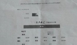 深圳郭先生最新爆料,揭秘最新行业内幕