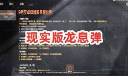 暗区体验服最新爆料军需,神秘装备亮相，战力升级一触即发！