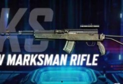 使命召唤新枪最新爆料,揭秘神秘武器性能与特色