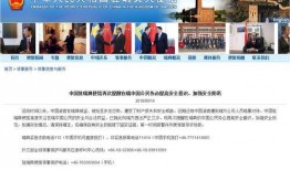 平乡爆料最新事件视频,视频揭秘惊人真相！