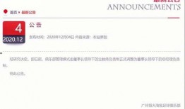 广州恒大最新爆料信息网,揭秘球队动态与未来规划