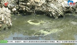 四会大沙镇爆料案件最新,案情揭秘，真相渐浮水面