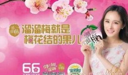 爆料食品视频大全最新,食品安全大揭秘，警惕这些常见问题！