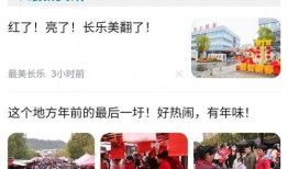 乐宇最新爆料新闻视频下载,揭秘视频背后的惊人真相