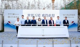 喜茶最新爆料电话查询,电话查询揭示惊人内幕！