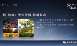 榆树防控中心最新爆料