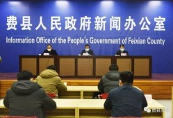 费县爆料新闻事件最新,真相揭秘，多方关注！