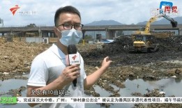 四会大沙镇爆料案件最新,案情揭秘，真相渐浮水面