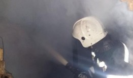 新闻爆料最新核反应堆事件,紧急应对与安全评估全面启动