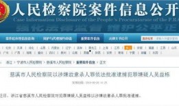 网红爆料司法案件最新情况,最新司法案件进展，案情再掀波澜